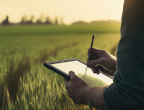Cloud Computing Trends Reshaping Business in Africa in 2025